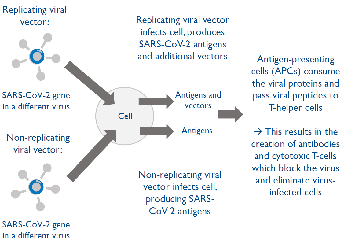 Finding The Right Vaccine Technology